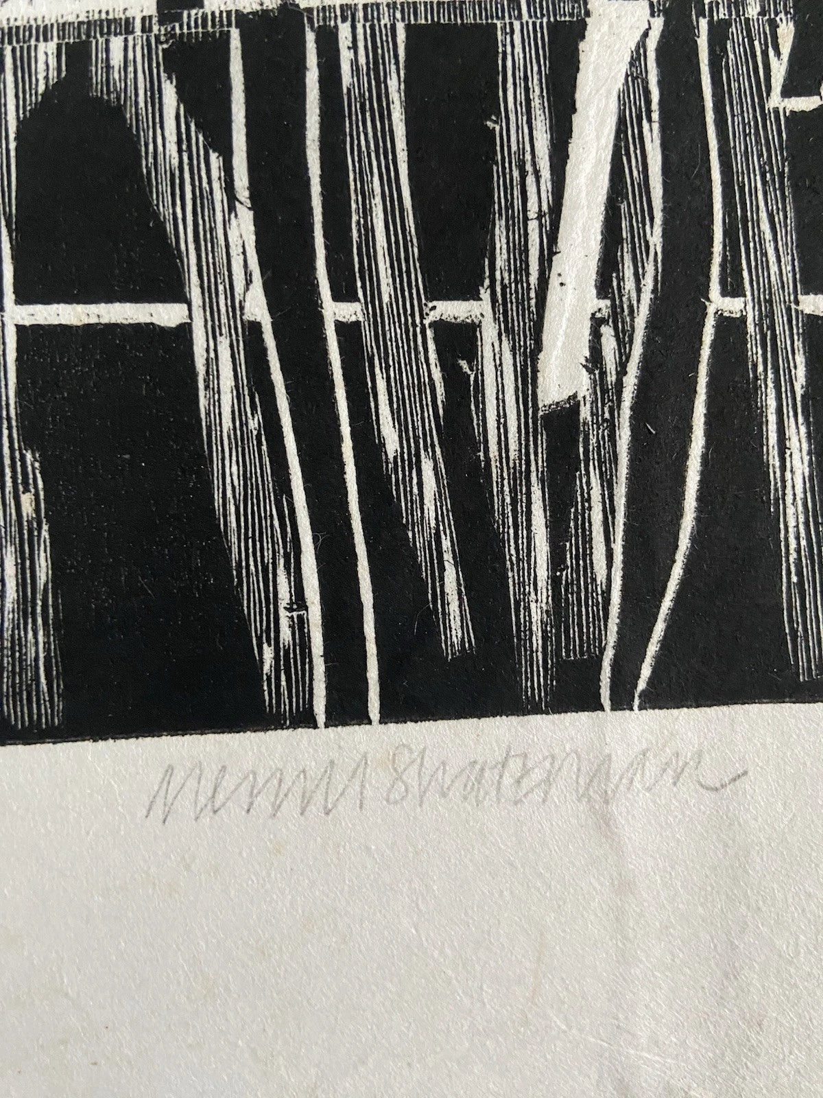 Merrill Shatzman                                                   Seasonal Changes Spring